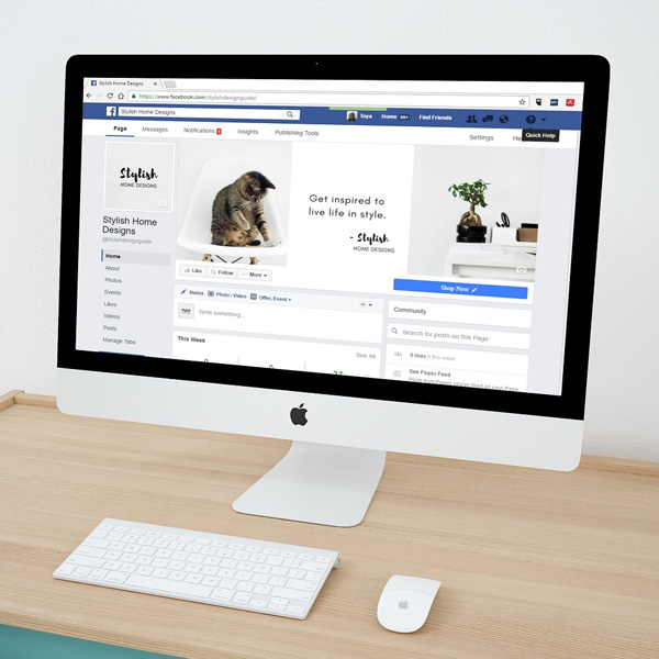 Design Digitale & Branding